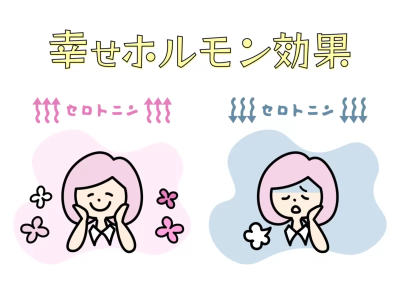 幸せホルモンの効果のイメージ画像です。セロトニンが多いと幸せな顔、少ないと悲しい顔の落差を対比しています